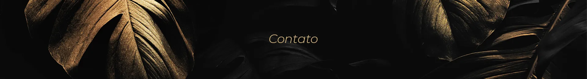 Contato