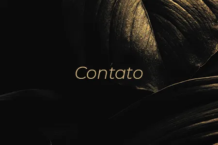 Contato