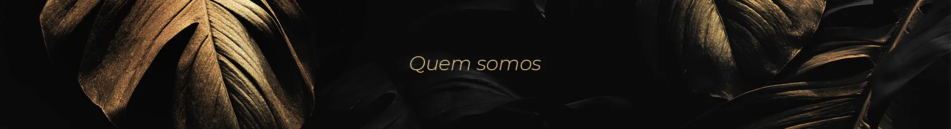 Quem Somos